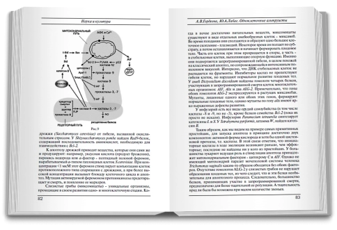 Новая цивилизация фото 7