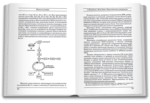 Новая цивилизация фото 6