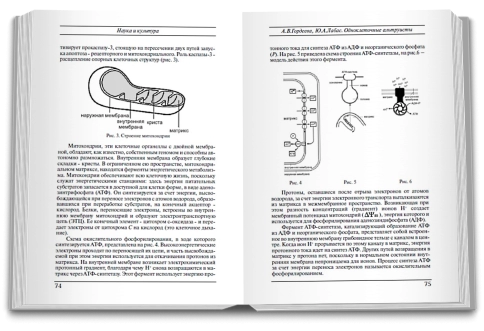 Новая цивилизация фото 5