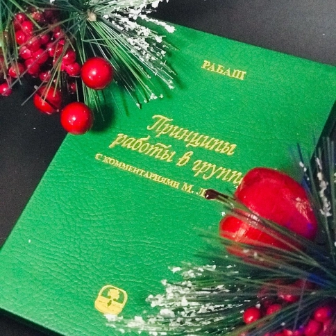 Принципы работы в группе (мини-формат, подарочное издание в кожаном переплёте) фото 3